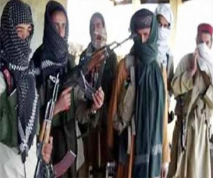   مصر اليوم - ذراع لتنظيم القاعدة يدعو المصريين لحمل السلاح ضد الجيش